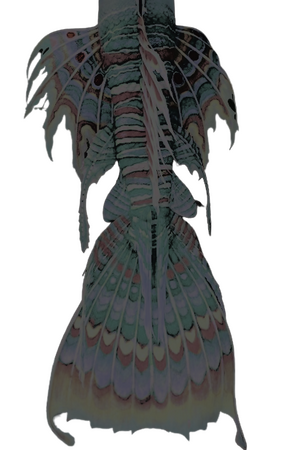 back of lay'an's tail